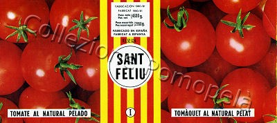 SANT FELIU bbe1981 4600g [020107]