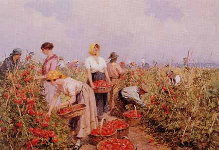Achille Beltrame: La raccolta del pomodoro. Olio su tela, 1930 (collezione privata)